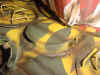 Mvc-009s.jpg (39366 bytes)